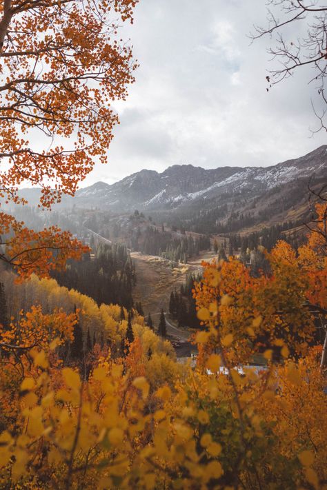 October Country, Magic Land, Autumn Rain, Autumn Scenery, Autumn Beauty, Autumn Vibes, Autumn Cozy, Autumn Aesthetic, Fall Wallpaper