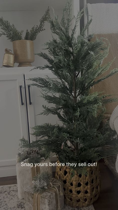 My Texas House Potted 4ft Pre-Lit … curated on LTK My Texas House Christmas, My Texas House Christmas Tree, My Texas House, Texas House, Christmas Decorating, Texas, Christmas Decorations, Christmas Tree, The Creator