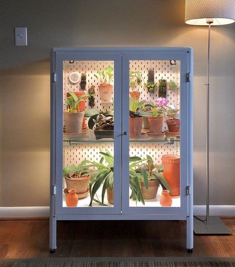 One of the more genius uses of IKEA's Fabrikör cabinet is completely hacking the cabinet into an indoor greenhouse. Plant Organization, Rainforest Room, Plant Studio, Office Vibes, Indoor Greenhouse, Garden Inspo, Greenhouse Ideas, Inside Plants, Ikea Cabinets