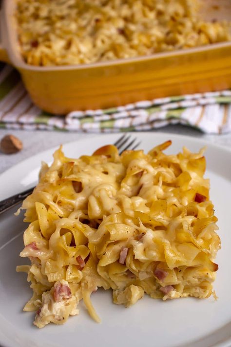 Ham And Cheese Noodle Casserole, German Noodle Casserole, German Egg Noodles, Ham And Noodle Casserole Recipes, International Casserole Recipes, German Noodle Recipes, Ham And Cheese Pasta Bake, German Egg Noodle Recipes, German Food For A Crowd