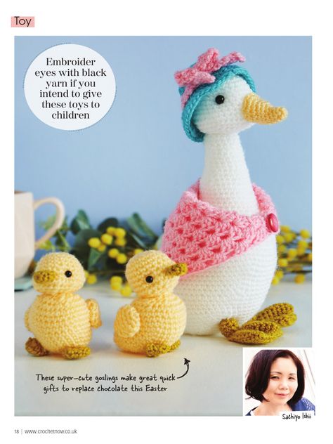 Quick Gifts, Mother Goose, Safety Eyes, A Mother, Free Pattern, Dinosaur Stuffed Animal, Shawl, Art Decor, Amigurumi