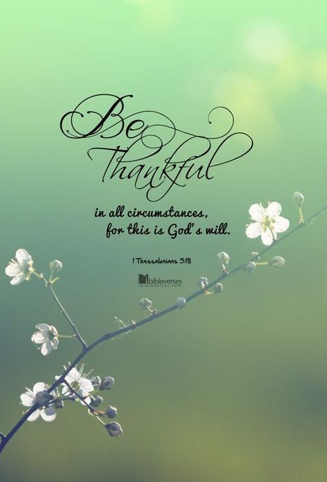 Be Thankful In All Circumstances thanksgiving thanksgiving pictures thanksgiving images thanksgiving quotes thanksgiving quotes for family best thanksgiving quotes inspirational thanksgiving quotes thanksgiving quotes for facebook christian thanksgiving quotes thanksgiving quotes for friends Christian Thanksgiving Quotes, Quote About Friends, Thanksgiving Quotes Christian, Thanksgiving Quotes Family, Thanksgiving Quotes Inspirational, Christian Thanksgiving, Giving Quotes, Thanksgiving Pictures, Quotes Christian