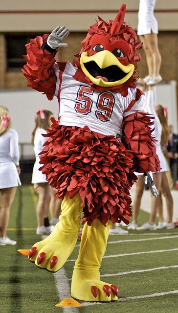 Cocky, our mascot at Jacksonville State University- www.jsu.edu #JaxState #GetJaxed Homecoming Pep Rally, Jacksonville State University, Funny Audio, Homecoming King, Go Gamecocks, College Sport, Giant Stuffed Animals, Sports Advertising, College Education