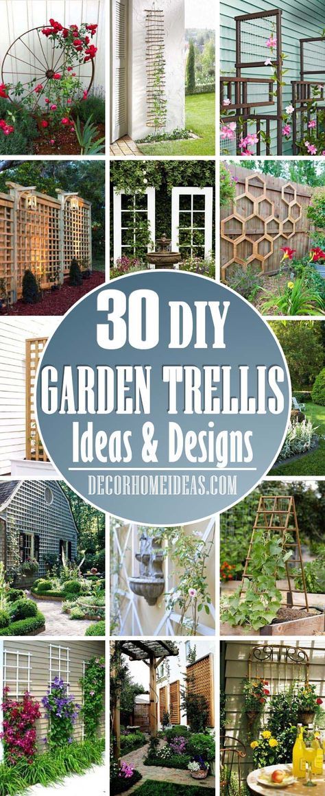 Backyard Wall Landscaping, Trellis In Front Of House, Cottage Garden Trellis, Trellis Landscaping Ideas, Unique Trellis Ideas, Backyard Trellis Ideas, Outdoor Trellis Ideas, Yard Trellis, Houston Landscaping