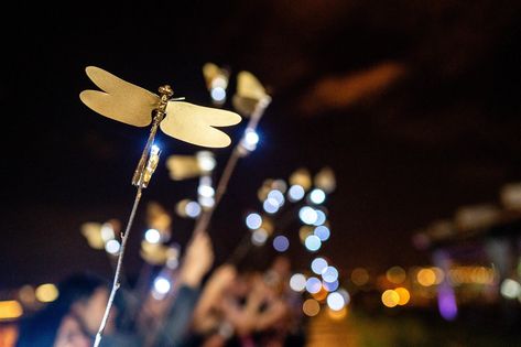 crazy rich asians wedding firefly send off Butterfly Wedding Send Off, Crazy Rich Asians Wedding Inspiration, Crazy Rich Asians Wedding, Butterfly Lights, Firefly Wedding, Dragonfly Wedding, Guatemala Wedding, Diy Wedding On A Budget, Shower Dress