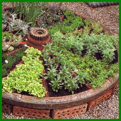 Creative DIY Herb Gardens for Any Space - Patio Herb Garden, Garden Boxes Diy, Jardim Diy, Diy Herb Garden, Herb Gardens, Garden Care, Garden Boxes, Easy Garden, Raised Garden Beds