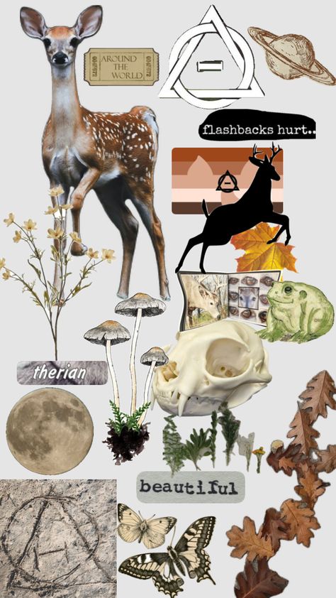 Types Of Deer, Deer Therian, Deer Aesthetic Dark, Autumn Deer Aesthetic, Cat Deer Hybrid, Doe Aesthetic Deer, Fallow Deer, Cats Art Drawing, Maybe In Another Life