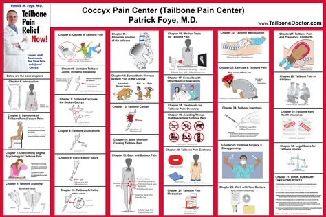 Private Practice Office, Coccyx Pain Relief, Tailbone Pain Relief, Tailbone Pain, Pregnancy Pain, Information Poster, Medical Tests, Book Posters, Anatomy And Physiology