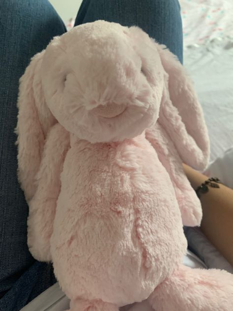 Pink Jelly Cat, Jelly Cat Bunny, Jelly Cats Bunnies, Jellycat Stuffed Animals Bunny, Pink Jellycat Bunny Aesthetic, Jellycat Bunnies, Pink Jellycat Bunny, Pink Jelly Cat Bunny, Coquette Bunny Plush