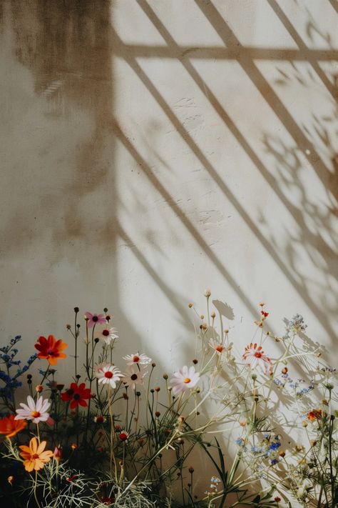 Dappled Light on Wildflower Canvas | Free Stock Image - Barnimages Dappled Light, Morning Light, Canvas Art Painting, Free Stock Photos, Royalty Free Images, Stock Images Free, Wild Flowers, Light Up, Iphone Wallpaper