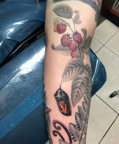 Monarch Life Cycle Tattoo, Monarch Hand Tattoo, Monarch Chrysalis Tattoo, Pollinator Tattoo Sleeve, Chrysalis Tattoo, Raspberry Tattoo, Lil Tattoo, Monarch Chrysalis, Sleeve Inspiration