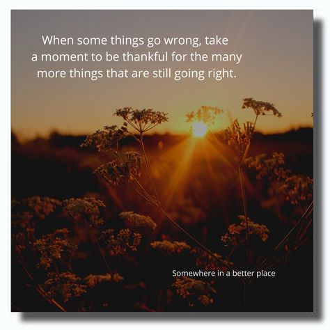 Thankful For Moments Quotes, Moments Quotes, Lovely Quotes, Beginner Crochet Projects, Rumi Quotes, Beginner Crochet, Lovely Quote, Be Thankful, Rumi