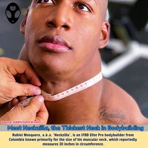 Rubiel Mosquera, a.k.a. ‘Neckzilla’, is an IFBB Elite Pro 💪 bodybuilder from Colombia known for the size of his muscular neck, which reportedly measures 20 inches in circumference. #bodybuilding #muscular #Neckzilla #thickneck #Colombia #odditycentral Muscular Neck, Bodybuilding Competition, Muscle Groups, Special People, Bodybuilder, Bodybuilding, Quick Saves