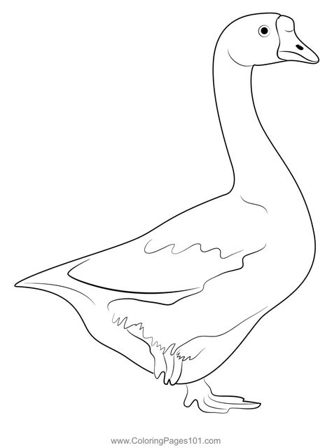 White Fronted Goose Coloring Page Simple Goose Drawing, Goose Sketch, Goose Sketch Simple, Cartoon Goose Drawing, Goose Coloring Pages, Animal Coloring Pages, Funny Clips, Free Kids, Color Names