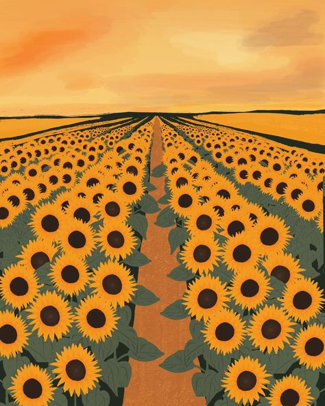 Trail Illustration, Sunflower Iphone Wallpaper, Wall Drawings, Sunflower Illustration, Field Art, Sunflower Drawing, Plain Wall, Digital Art Beginner, Sunflower Wallpaper