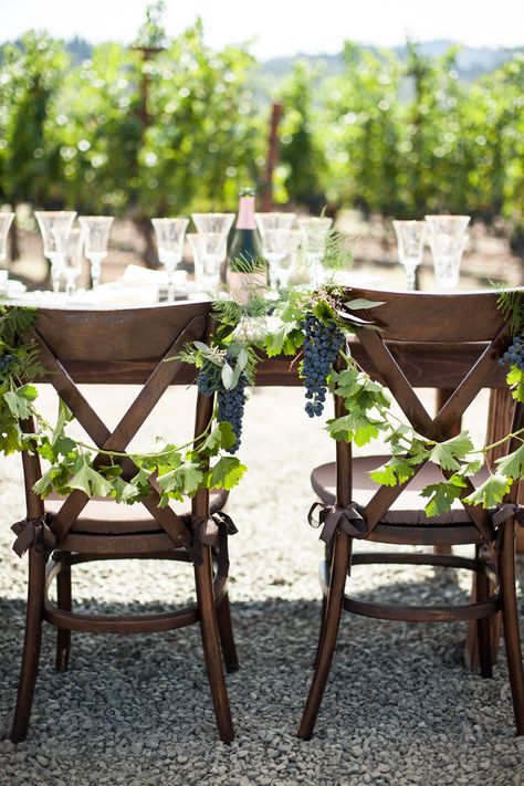 vineyard wedding chair decor | Photo by Megan Clouse Winery Decor, Vineyard Wedding Ideas, Vineyard Wedding Inspiration, Wedding Winery, Wedding Chair Decorations, Diy Xmas Gifts, Chair Decor, Tuscan Wedding, Eco Friendly Wedding