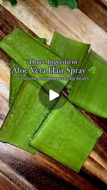 ricewatergirl™ LLC on Instagram: "🌿3 Ingredient: Aloe Vera Hair Spray🍃 

🌿Aloe vera, rosemary, and mint can offer so many benefits for the scalp/hair such as:
1️⃣Calming an itchy scalp
2️⃣Improving scalp health
3️⃣Strengthening
4️⃣Encouraging hair growth

🌿How to Clean the Aloe Vera❓
1️⃣Slice the end of the aloe vera off
2️⃣Stand the leaf in a bowl of water for 1 hour (the water will turn yellow)
3️⃣Remove from water and slice into pieces 
4️⃣Soak pieces in a bowl of water for 15 minutes if needed to remove any aloe latex that did not drain out 

🌿How to Make:
1️⃣To a blender, add 10oz of fresh rosemary water, 1/4 cup aloe vera gel and a handful of mint leaves

2️⃣Blend until all ingredients are combined and strain, apply to scalp/hair as needed 💚

➡️Add aloe vera to your next bottle Aloe Vera Hair Spray, Aloe Vera Hair, Rosemary Water, Aloe Vera For Hair, Itchy Scalp, Scalp Health, Hair Spray, Three Ingredient, Fresh Rosemary