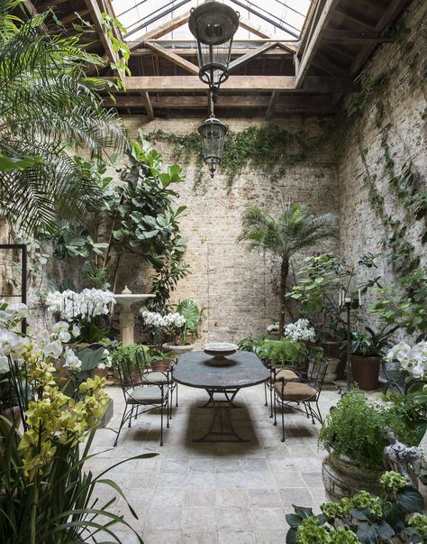 Current Obsessions: The Orchid Collector Indoor Courtyard, Conservatory Greenhouse, Rose Uniacke, Patio Pergola, Have Inspiration, Patio Interior, Greenhouse Gardening, Pergola Patio, Interior Garden