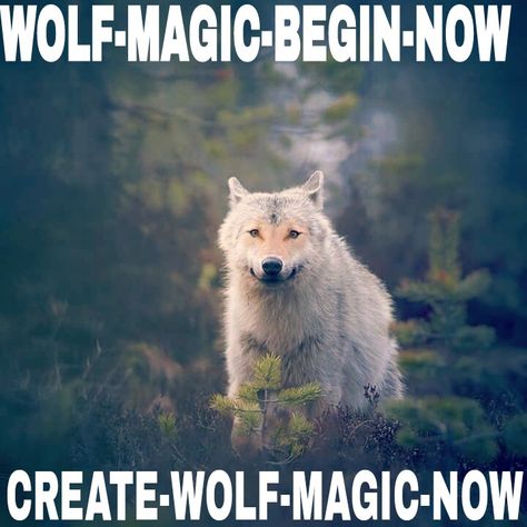 WOLF-MAGIC-BEGIN-NOW | Healing with Tinaheals Wolf Magic Begin Now, Hummingbird Totem, Wolf Magic, Wolf Totem, Code Switching, Animal Spirit Guides, Healing Mantras, Healing Codes, Wolf Spirit Animal