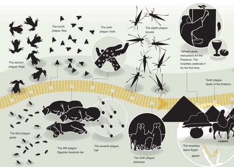 Life of Moses Infographic | Exod 9-12 #exodus Moses Timeline, Bible Study Exodus, Life Of Moses, The Exodus From Egypt, Summary Of Exodus, Moses Exodus, Exodus Book, Quick View Bible, Ten Plagues