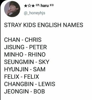 Skz Fanchant, Skz Names, Skz As Mythical Creatures, Skz Password Ideas, Straykids Names In Korean, Skz English Names, Skzoo's Names, Stray Kids English Names, Skz Animals Character