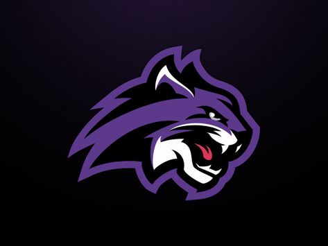 Wiley College Wildcats Logo Fantasy Football Logos, Simple Draw, Low Expectations, Basketball Academy, Sports Branding, Wildcats Logo, Mascot Logos, School Shirt Designs, Panther Logo