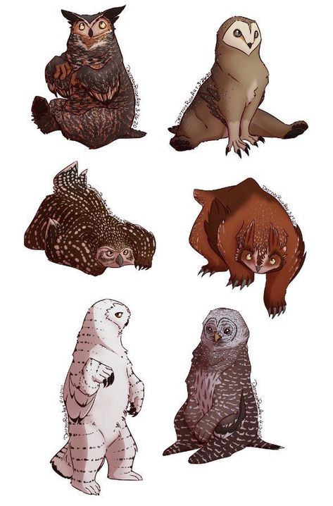 Owlbear Tattoo, Worldbuilding Ideas, Fantasy Journal, Animal Hybrids, Dnd Creatures, Creature Artwork, One D, Cool Monsters, Cat Cartoon