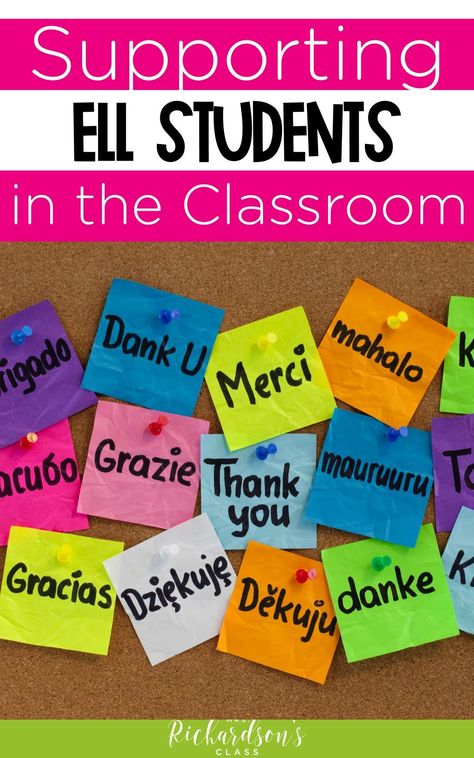 Supporting English Language Learners (or ESL students) in the classroom is so important for both academic success and social aspects. You can find 8 ideas, activities, and strategies to support students and build vocabulary in this blog post. They're all easy to implement into any lessons! #ELLStrategies #ESLactivities Esl Teaching Elementary, Teaching Ell Students, Ell Strategies, Diverse Learners, Teaching English Language Learners, Teaching Esl, Esl Teaching Resources, Ell Students, Esl Vocabulary