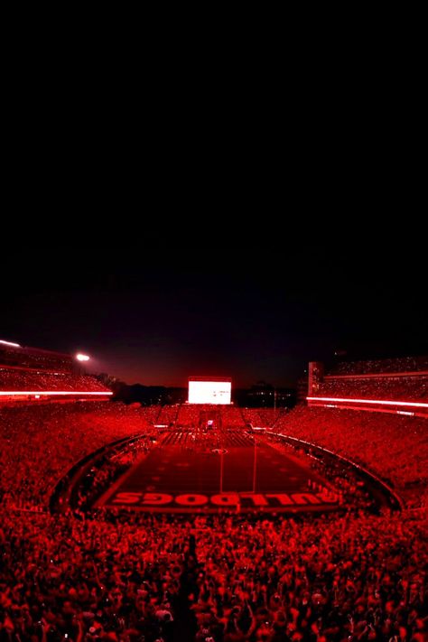 Uga Football Aesthetic, Georgia Football Aesthetic, Red Football Aesthetic, Uga Football Wallpaper, Georgia Bulldogs Football Wallpapers, Alabama Football Aesthetic, Uga Wallpapers, Georgia Football Wallpaper, Uga Aesthetic