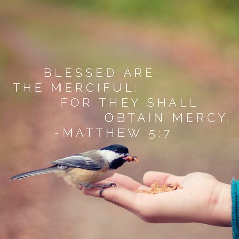 Blessed are the merciful: for they shall obtain mercy. –Matthew 5:7 Blessed Are The Merciful, Matthew 5 7, Matthew 5, Pep Talk, Study Group, Bible Teachings, Bible Scripture, Pep Talks, Faith Inspiration