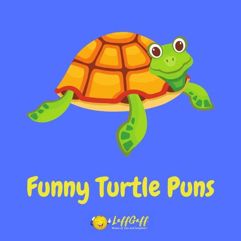 Shell-ebrate humor with these turtley awesome turtle puns and jokes! They're sure to bring you out of your shell, so don't be slow - read them now! Turtle Puns, Funny Puns For Kids, Funny Turtle, Turtley Awesome, Snapping Turtle, Turtles Funny, Pet Turtle, Shell Shock, Puns Jokes