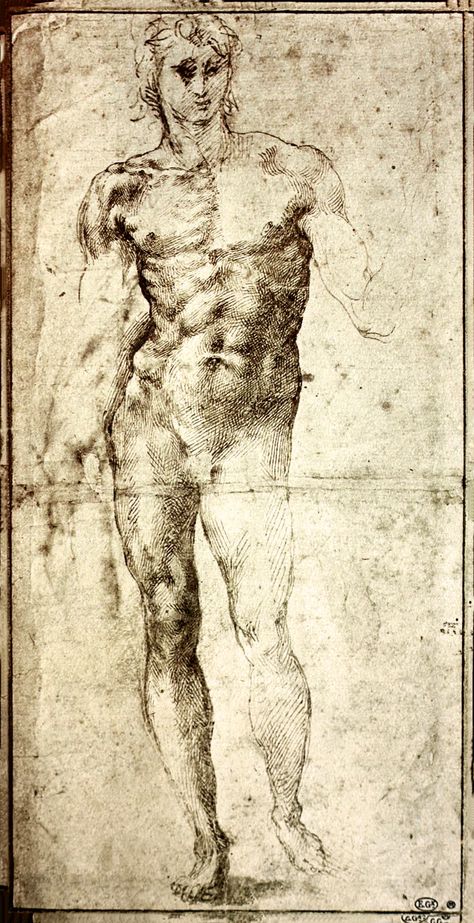 Michael Angelo Drawings, Michel Angelo Painting, Michelangelo Drawings Sketches, Michelangelo Hands Drawings, Michelangelo Figure Drawing, Alphonse Mucha Sketch, Michelangelo Paintings, Michelangelo Art, Poses Male