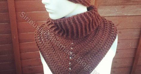 Crochet Turtleneck Cowl, Crochet Dickie Pattern Free, Crochet Dickie, Crochet Turtleneck, Crocheting Projects, Crochet Cowl Pattern, Turtleneck Style, Cowl Pattern, Crochet Cowl