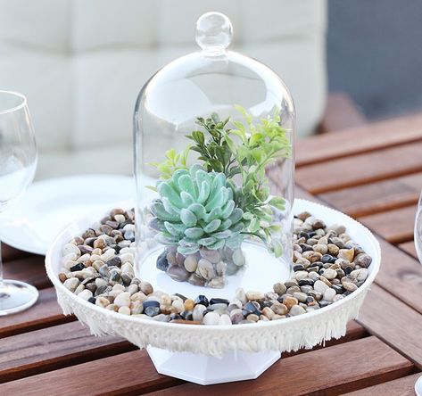 How to make a cake stand terrarium Terraria Cake, Paper Flower Backdrop Diy, Bottle Terrarium, Diy Cake Stand, Diy Succulent Terrarium, Pencil Crafts, Bake A Cake, Diy Terrarium, Make A Cake