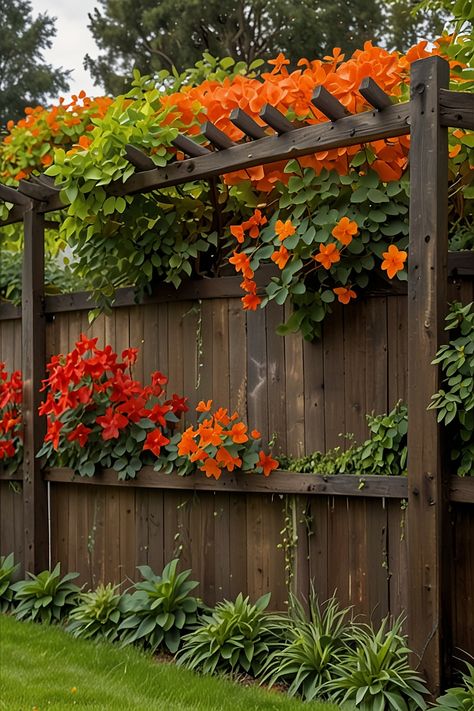 10 Best Plants Along Fence Plants Along Fence, Fast Growing Privacy Plants, Privacy Bushes, Flowers Front Yard, Hydrangea Vine, Fast Growing Vines, Fence Plants, Privacy Plants, Growing Vines