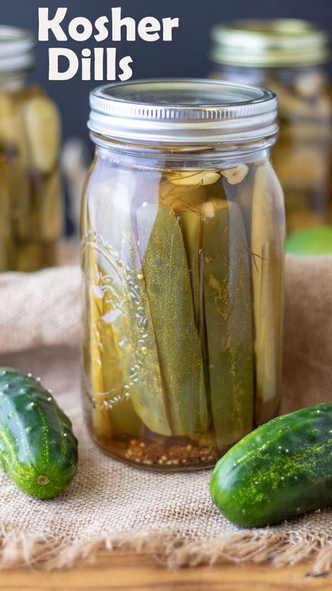 Best Dill Pickle Recipe, Homemade Dill Pickles, Kosher Pickles, Cucumber Pickles, Garlic Dill Pickles, Homemade Pickles Dill, Kosher Dill Pickles, Dill Pickle Recipe, Pickled Cucumbers