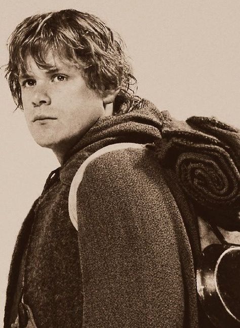 Samwise the Brave Samwise Gamgee, Gandalf The Grey, Fall Rings, The Shire, Real Hero, Gandalf, Movie Photo, Middle Earth, Lord Of The Rings