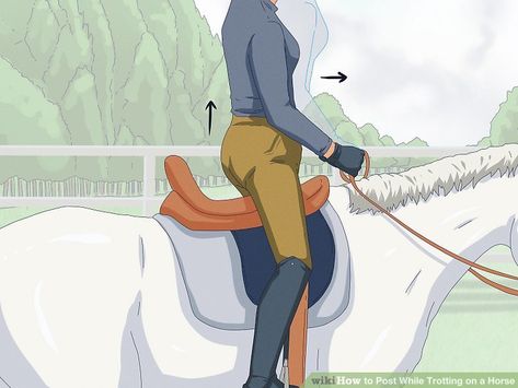 How to Post While Trotting on a Horse: 10 Steps (with Pictures) Trotting Horse, Horse Trotting, Horse Riding Trot, How To Trot On A Horse, Riding Lessons For Beginners, How To Teach A Horse To Neck Rein, Horse Transition Exercises, Horse Trotting With Rider, Thigh Muscles