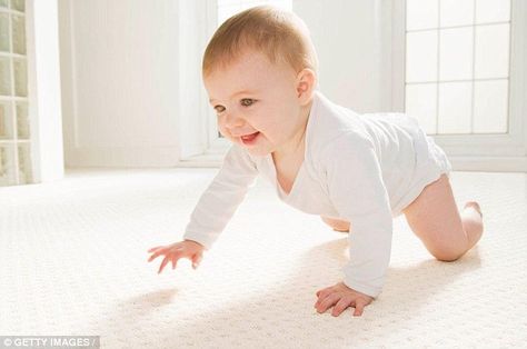 8 Month Baby, Baby Knee Pads, Baby Schedule, Sick Baby, Crawling Baby, Do Baby, Everything Baby, Baby Hacks, Baby Photoshoot