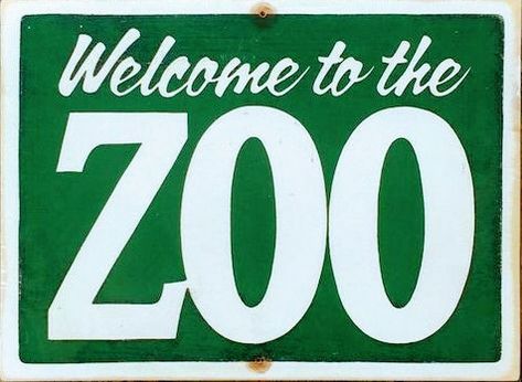 Zoo Sign, Zoo Signage, Kids Room Sign, How To Make Signs, Kids Signs, Pet Signs, Office Signs, Office Humor, Old Tv Shows