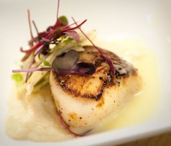 Scallops with Parsnip Puree and Lemon Beurre Monte Photo by Tom Kirkman Parsnip Puree, Coquille St Jacques, Seafood Entrees, Shellfish Recipes, Scallop Recipes, Scallops Seared, James Beard, Slow Food, Parsnips