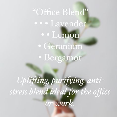 Home Office Diffuser Blend, Office Essential Oil Blends, Office Diffuser Blends, Essential Oil Scrubs, Oil Fragrances, Living Oils Recipes, Doterra Diffuser Blends, Doterra Essential Oils Recipes, Essential Oil Diffuser Blends Recipes