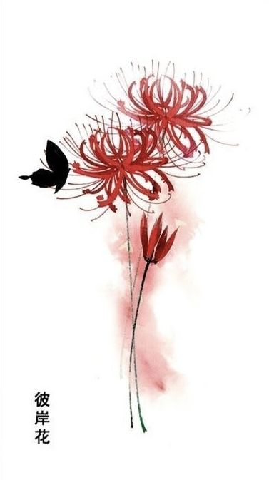 Red Tattoos Ideas, Lily Tattoo Meaning, Spider Lily Tattoo, Chest Tattoo Drawings, Heart With Wings Tattoo, Lily Tattoo Design, Stomach Tattoos Women, Small Girly Tattoos, Tattoo Maker