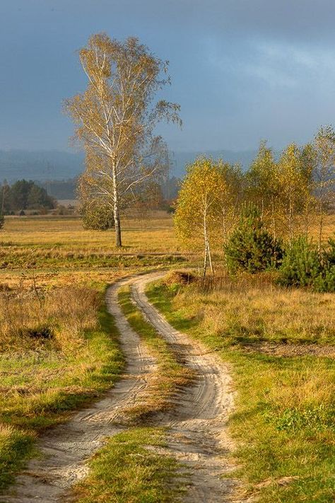 Country Photography, Beautiful Roads, After Rain, Country Roads Take Me Home, Country Scenes, Dirt Road, Back Road, Beautiful Evening, Alam Yang Indah