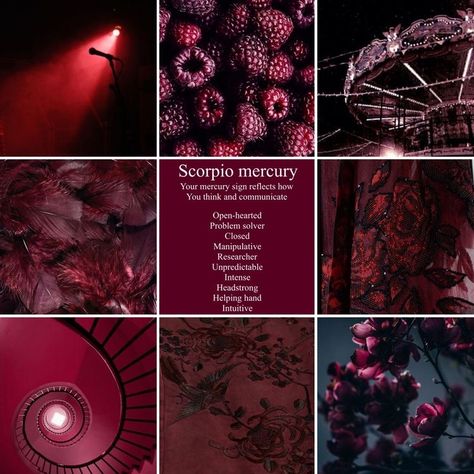 Mercury In Scorpio Aesthetic, Scorpiocore Aesthetic, Scorpio Mercury Aesthetic, Dark Astrology Aesthetic, Scorpio Sun Aesthetic, Red Burgundy Aesthetic, Mercury Scorpio, Scorpio Vibes Aesthetic, Scorpion Aesthetic