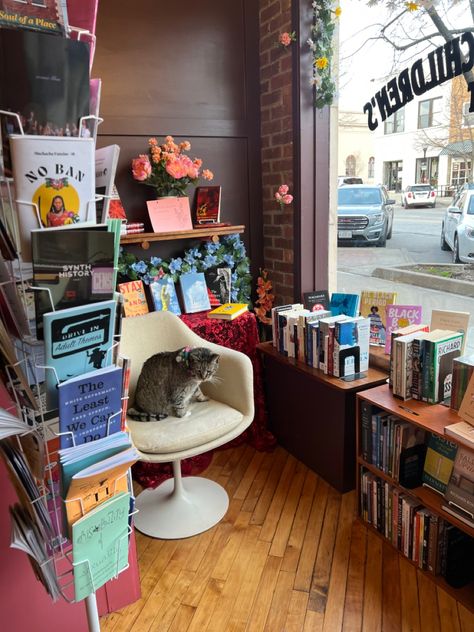 Bookstore And Cafe Aesthetic, Working At Bookstore, Owning A Bookstore Aesthetic, Small Bookstore Aesthetic, Cozy Bookstore Aesthetic, Book Shop Aesthetic, Wild West Games, Bookstore Cats, Bookstore Aesthetic