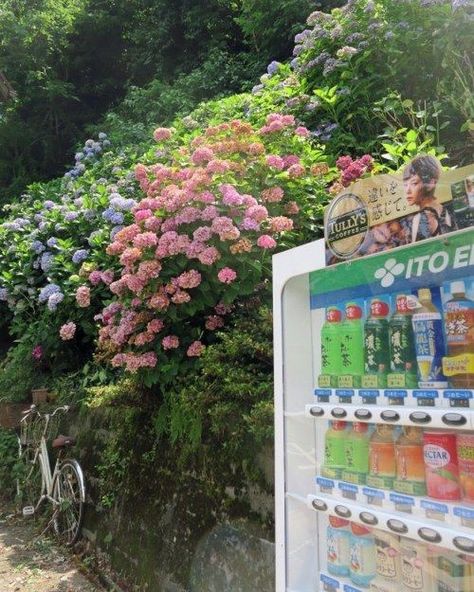 Refreshing Wallpapers, Japanese Vending Machines, Vending Machines, Japan Aesthetic, Aesthetic Japan, Kamakura, Japanese Aesthetic, Vending Machine, Slice Of Life