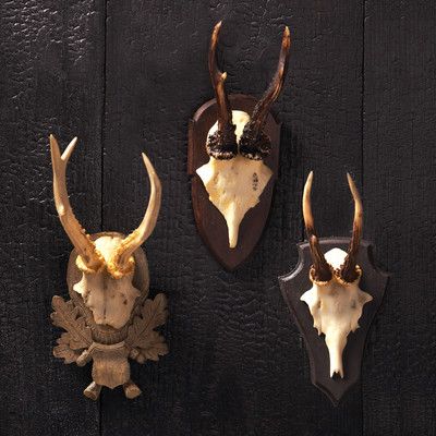 Twos Company Curiosity Shop 3 Piece Antler Trophy Wall Décor Set & Reviews | Wayfair Trophy Display, Antler Wall, Antler Art, Hunt Club, Curiosity Shop, Resin Sculpture, Rustic Lodge, Country Charm, Kathy Kuo Home