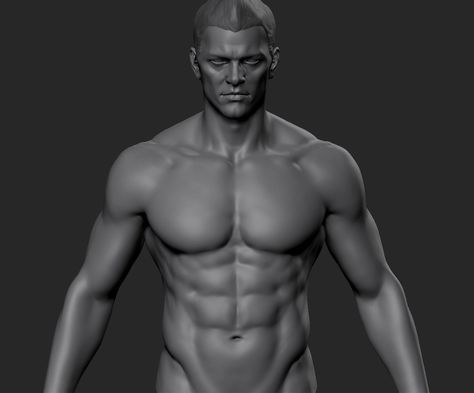 zbrush body by June Ho Cho on ArtStation. Inside Human Body, Zbrush Anatomy, Zbrush Models, Man Anatomy, Anatomy Sculpture, Male Torso, Muscle Anatomy, Anatomy Poses, Female Anatomy