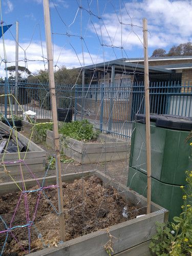 Hanger Trellis, Homemade Trellis, Guerilla Gardening, Diy Clothes Hangers, Wire Coat Hangers, Garden Of Delights, Wire Trellis, Tomato Trellis, Reuse Ideas